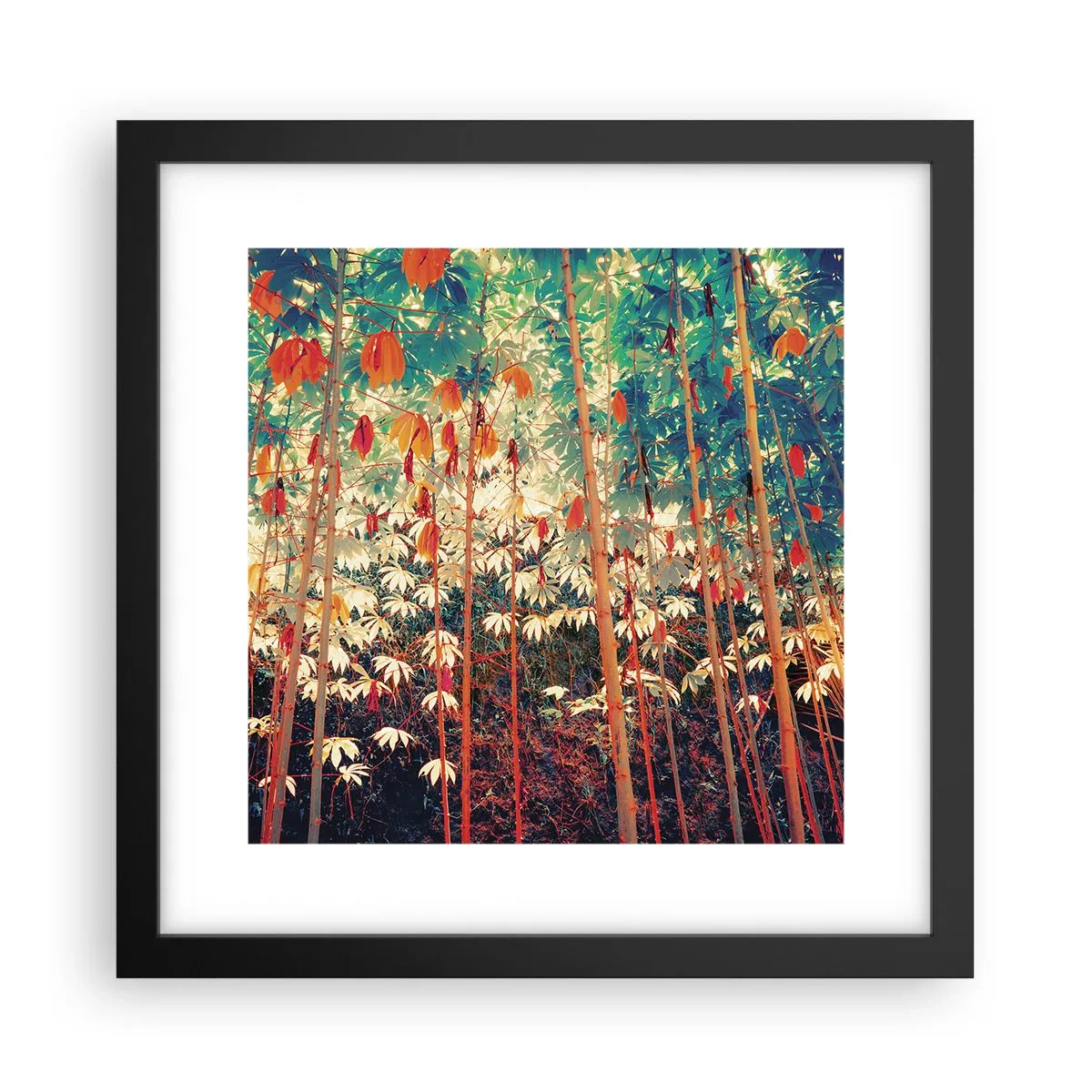 Poster în ramă neagră - Viața secretă a frunzelor - 30x30 cm