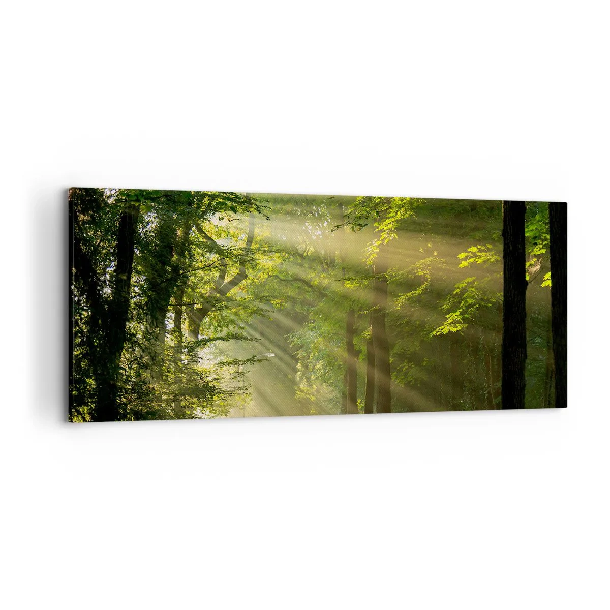 Tablou pe pânză - Moment de pădure - 120x50 cm