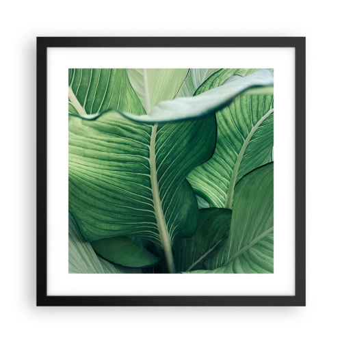Poster în ramă neagră - Viață intensă în verde - 40x40 cm