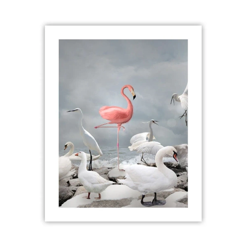 Poster - De unde am venit? - 40x50 cm