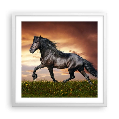 Poster în ramă albă - Prințul negru - 50x50 cm