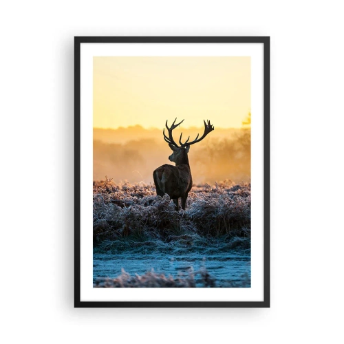 Poster în ramă neagră - O căprioară într-o poiană înghețată la răsărit - 50x70cm - Încoronat pe domeniul său - Decorațiune modernă pentru perete pentru living și dormitor ARTTOR