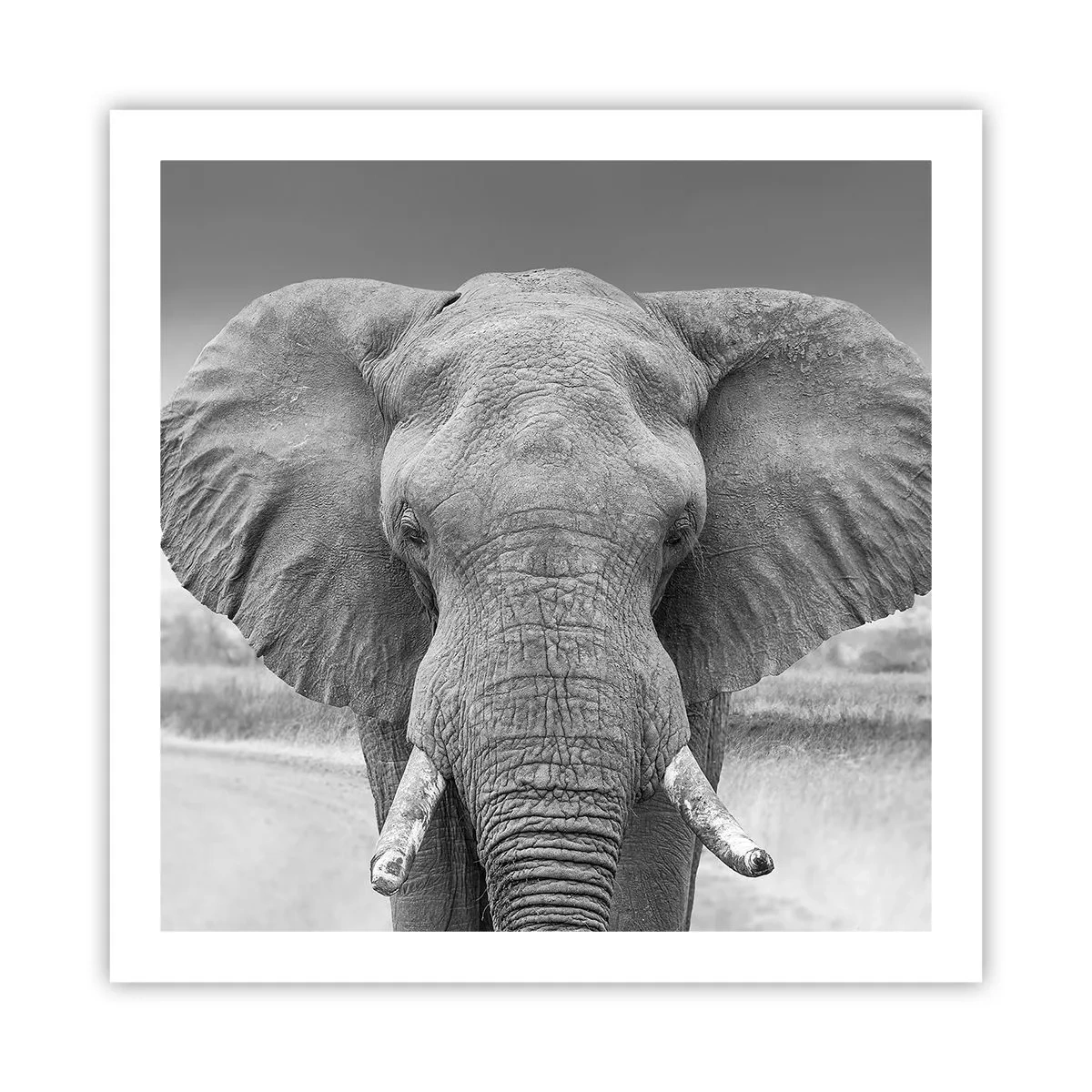 Poster - Bun venit în lumea mea - 60x60 cm
