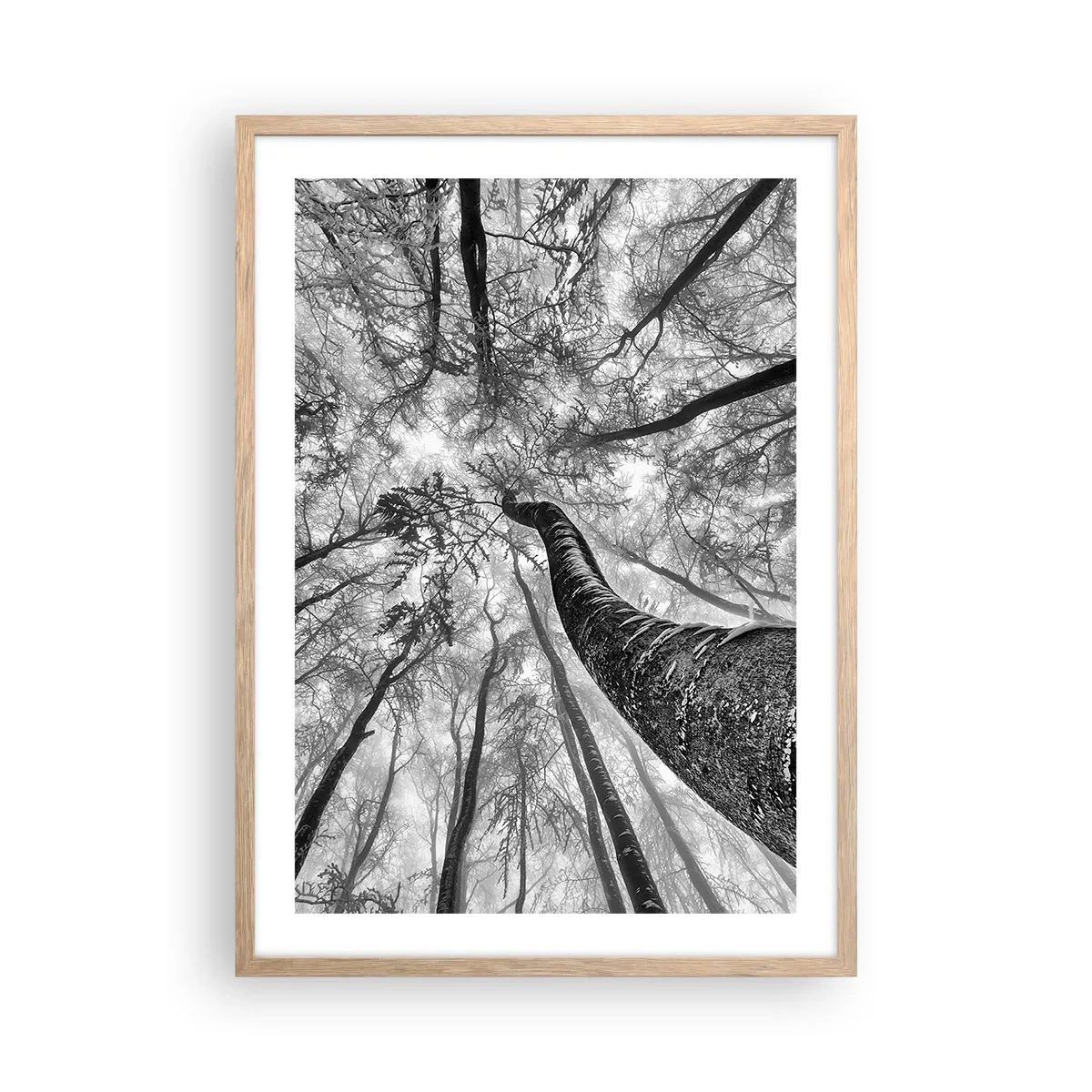 Poster în ramă de stejar deschis - Cursa spre lumină - 50x70 cm