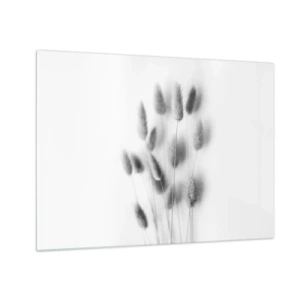 Tablou pe sticlă - Urechi de iarbă alb-negru pe un fundal deschis, într-un stil minimalist - 70x50cm - Pufoșenia ierbii - Decorațiune modernă pentru perete pentru living și dormitor ARTTOR