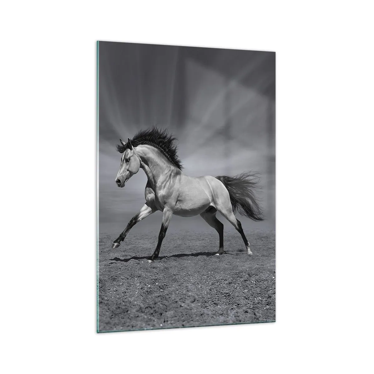 Tablou pe sticlă - Născut pentru a încânta - 70x100 cm