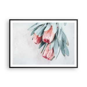 Poster în ramă neagră - Rușinate de propria lor frumusețe - 100x70 cm