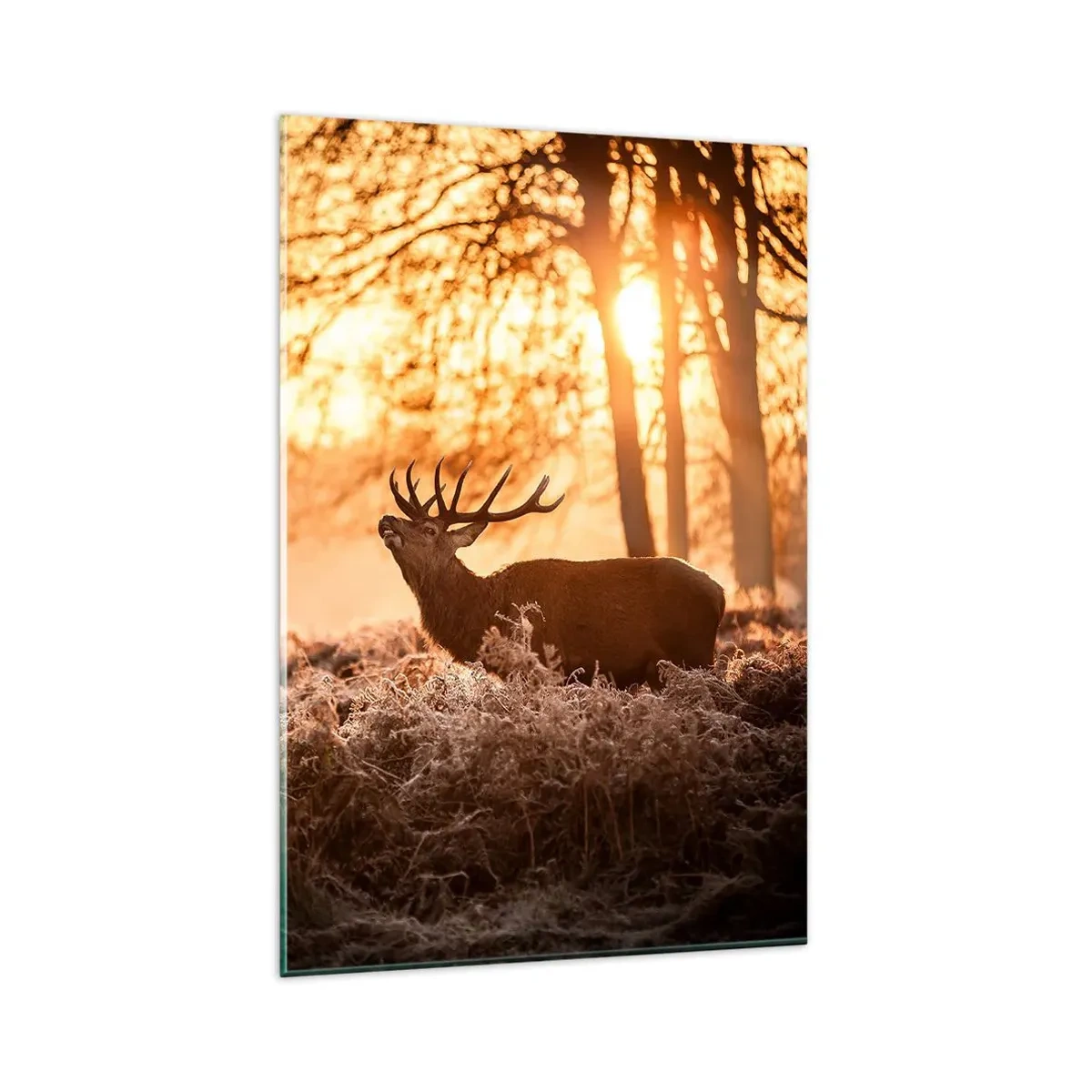 Tablou pe sticlă - Visul unui vânător - 80x120 cm