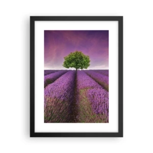 Poster în ramă neagră - În câmpurile de lavandă - 30x40 cm