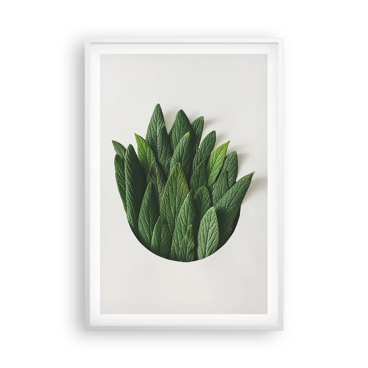 Poster în ramă albă - Curiozitatea nestăvilită - 61x91 cm