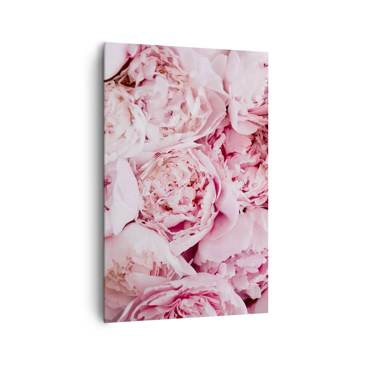 Tablou pe pânză - Îmbrățișate și parfumate - 80x120 cm