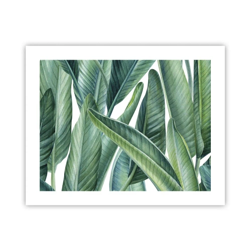 Poster - Verdeața în sine - 50x40 cm