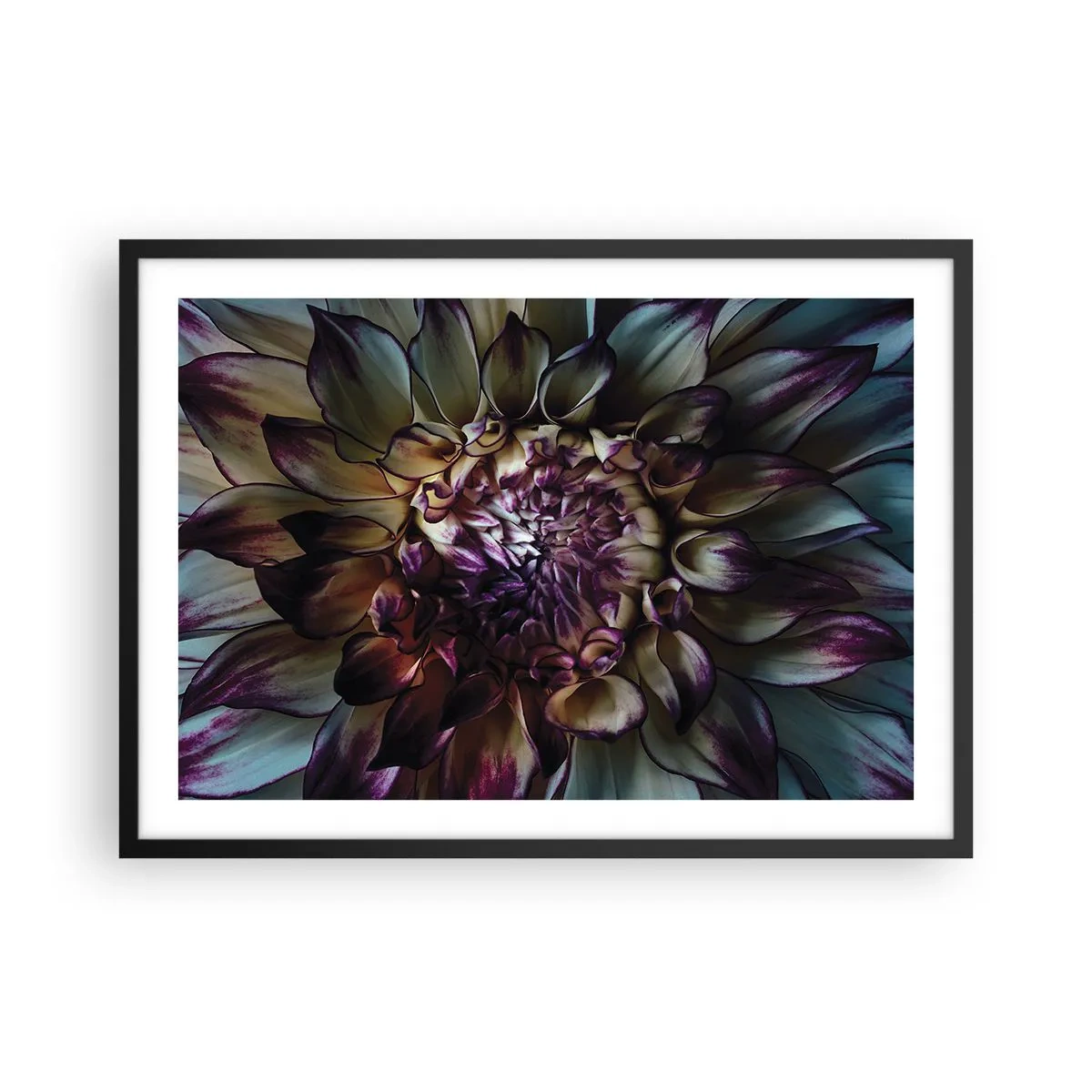 Poster în ramă neagră - Înflorirea tinereții - 70x50 cm