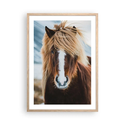 Poster în ramă de stejar deschis - Simțiți libertatea? - 50x70 cm