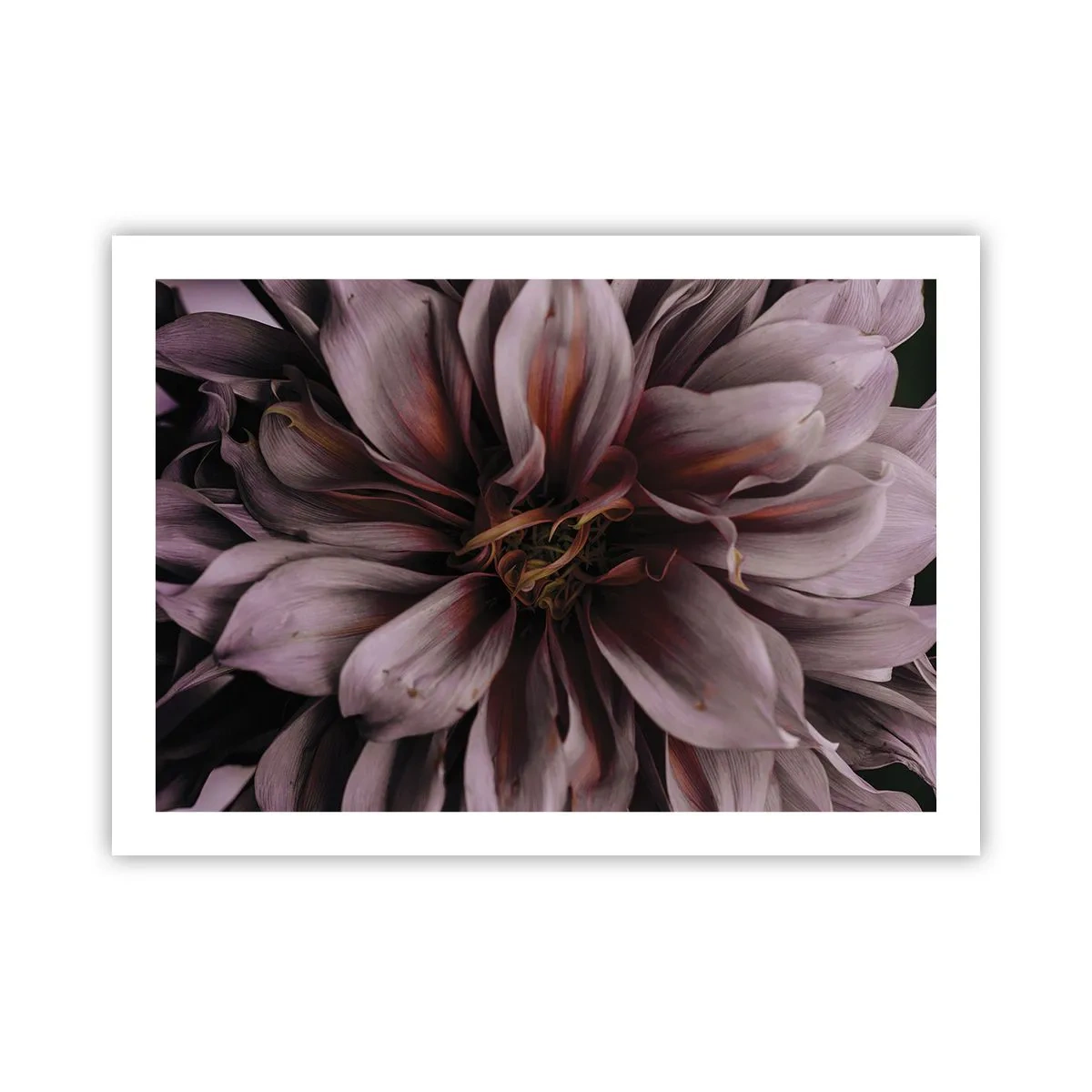 Poster - Inimă florală - 70x50 cm