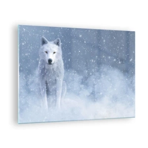 Tablou pe sticlă - Un lup alb într-o viscol privind drept înainte - 70x50cm - În stil de iarnă - Decorațiune modernă pentru perete pentru living și dormitor ARTTOR