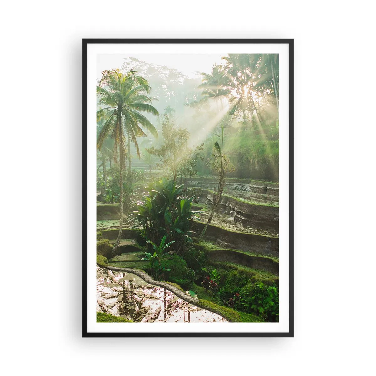 Poster în ramă neagră - Crescând la soare - 70x100 cm