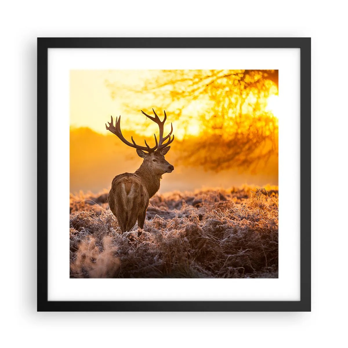 Poster în ramă neagră - Regele pădurii de toamnă - 40x40 cm