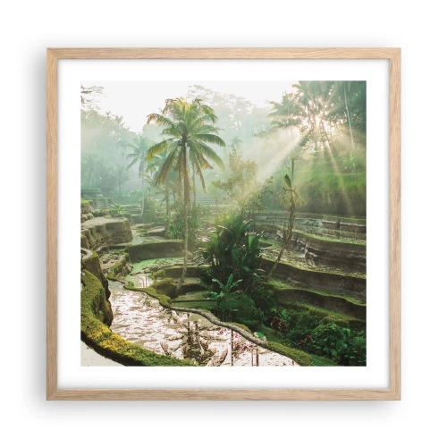 Poster în ramă de stejar deschis - Crescând la soare - 50x50 cm