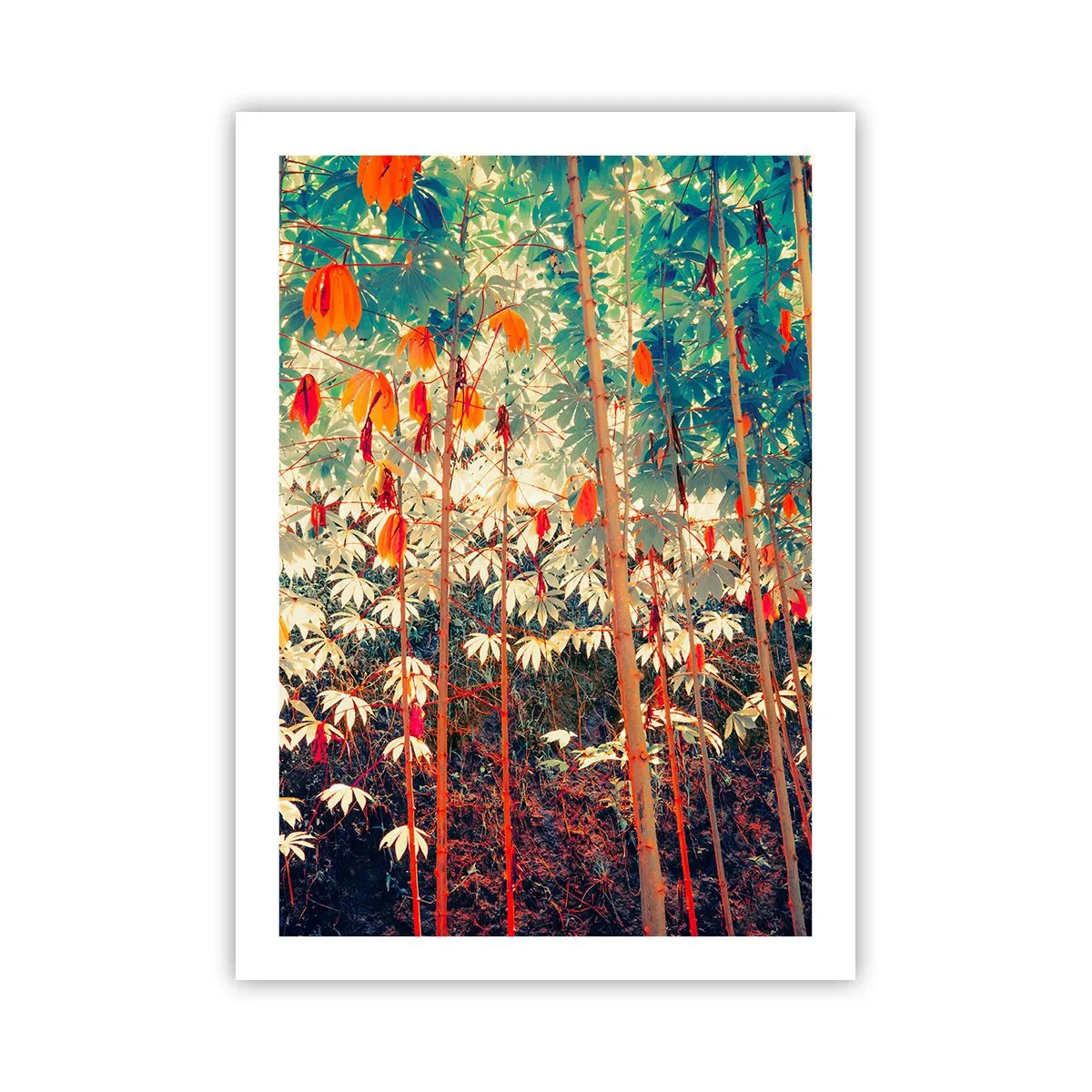 Poster - Viața secretă a frunzelor - 50x70 cm