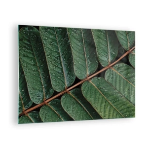 Tablou pe sticlă - Prim-plan cu frunze verzi cu picături de apă - 70x50cm - Într-un ritm verde - Decorațiune modernă pentru perete pentru living și dormitor ARTTOR