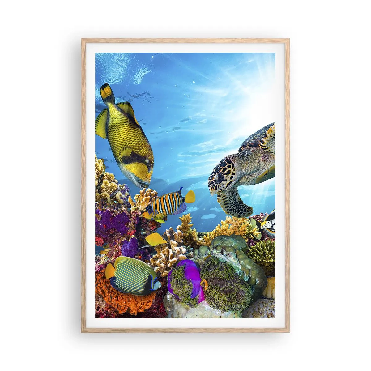 Poster în ramă de stejar deschis - Promenada de corali - 70x100 cm