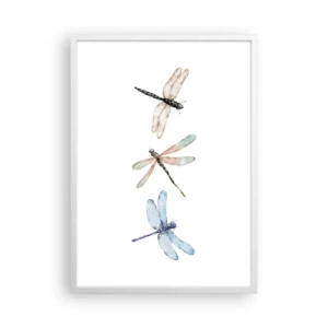 Poster în ramă albă - Libelule imponderabile - 50x70 cm