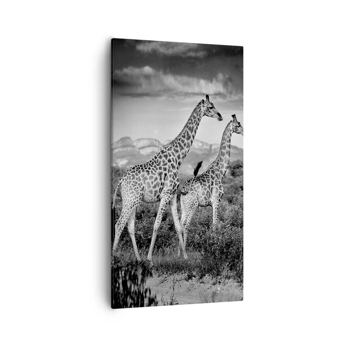 Tablou pe pânză - Clasele superioare din Africa - 55x100 cm