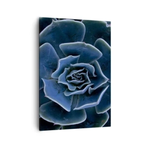 Tablou pe pânză - Floare de deșert - 50x70 cm