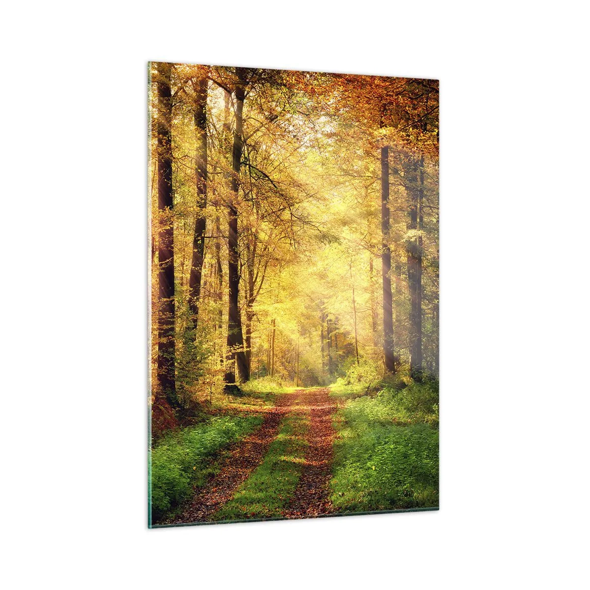 Tablou pe sticlă - Tăcere de aur de pădure - 50x70 cm