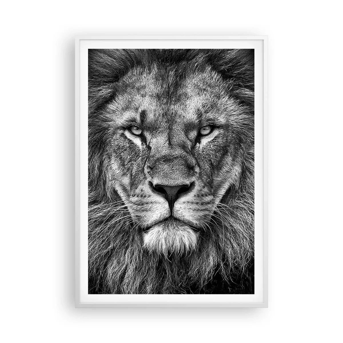 Poster în ramă albă - În ținuta de încoronare - 70x100 cm