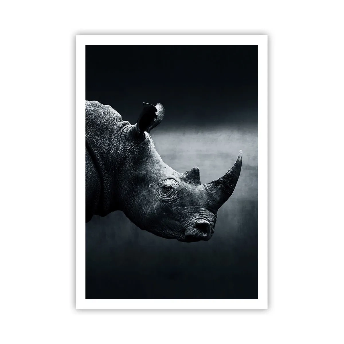 Poster - Profil drept - 70x100 cm