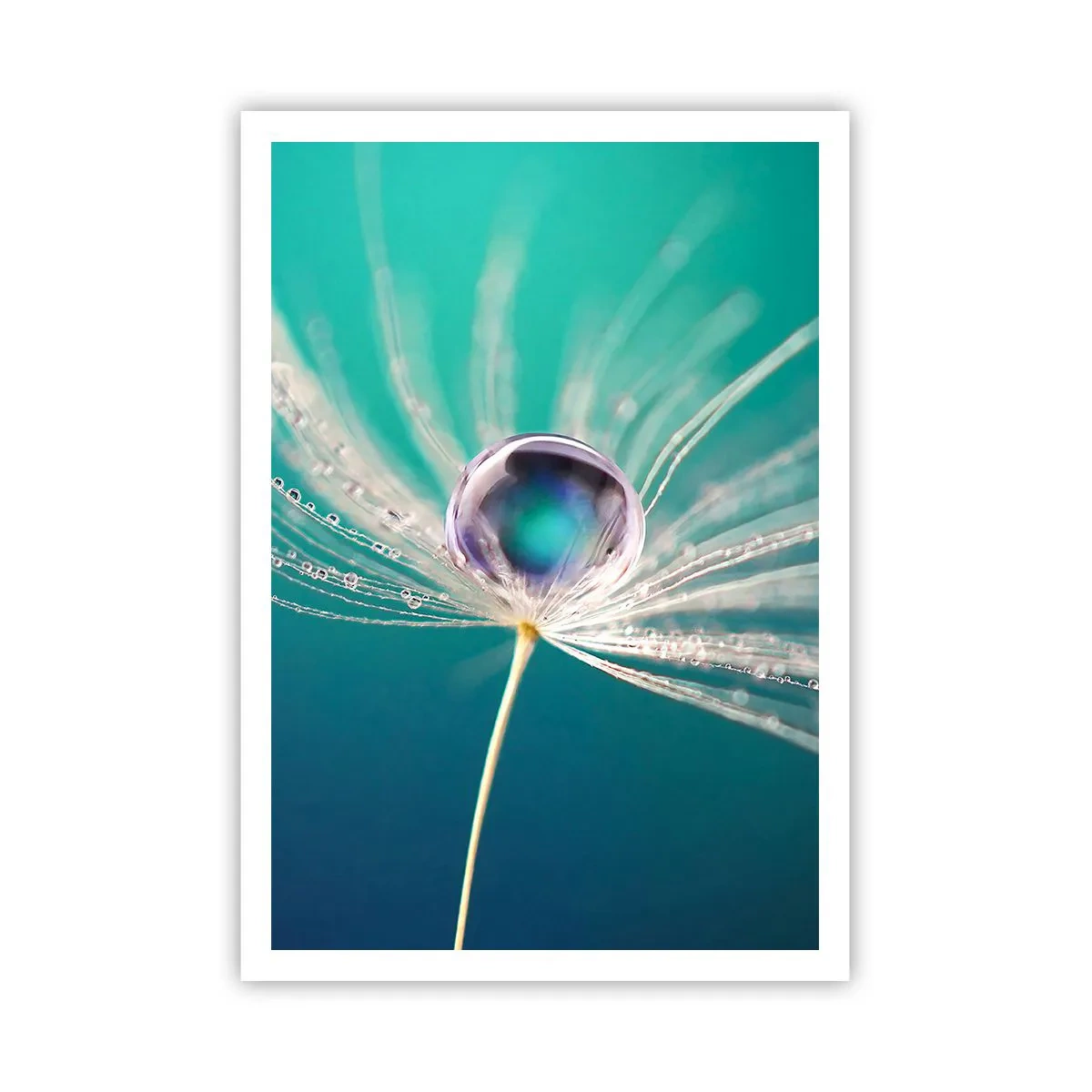 Poster - Moment mistic - 70x100 cm