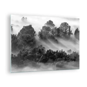 Tablou pe sticlă - Pădure cețoasă în lumina soarelui, alb-negru - 70x50cm - Trezindu-se din somn - Decorațiune modernă pentru perete pentru living și dormitor ARTTOR