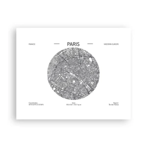 Poster - Anatomia Parisului - 50x40 cm