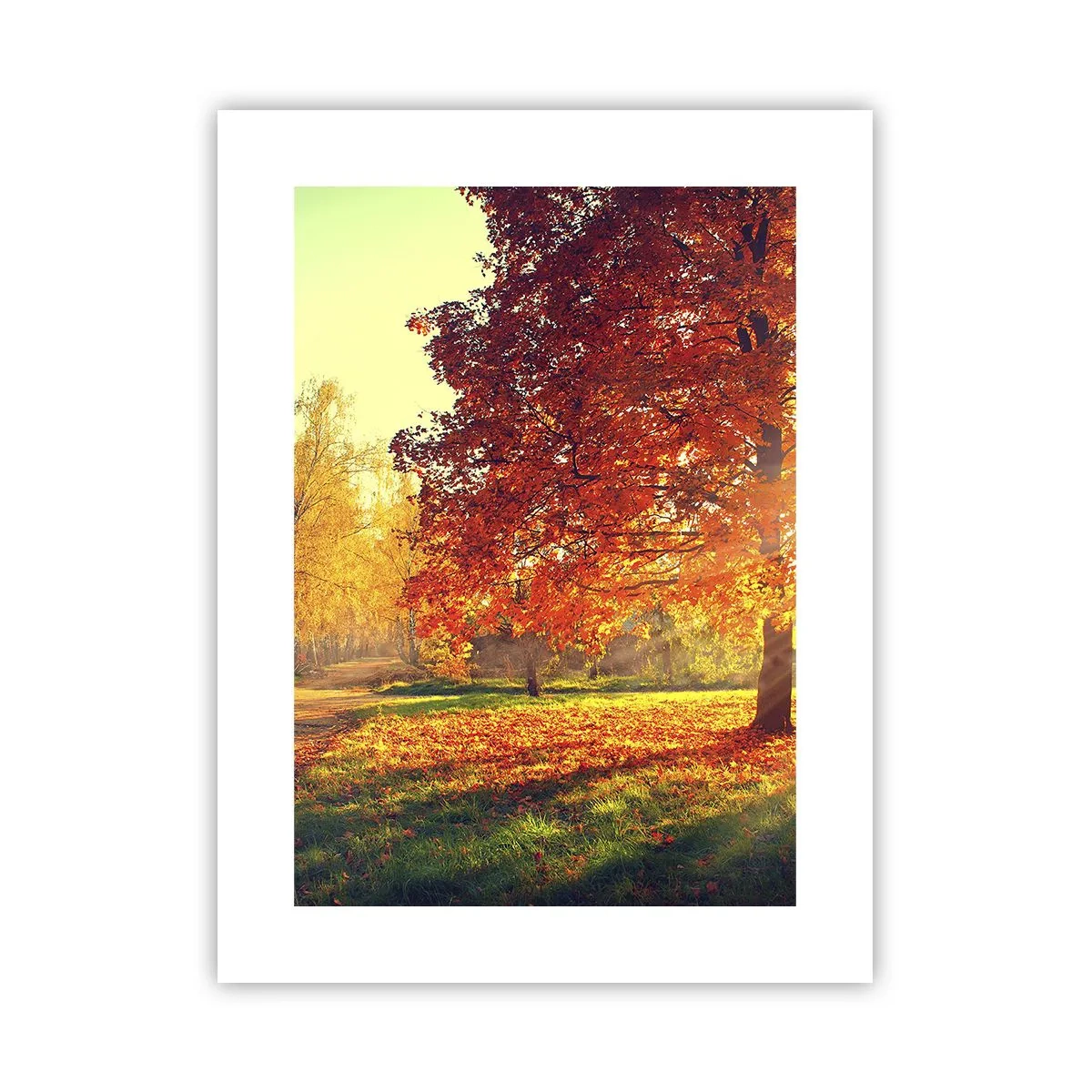Poster - Roșcatul este frumos - 30x40 cm