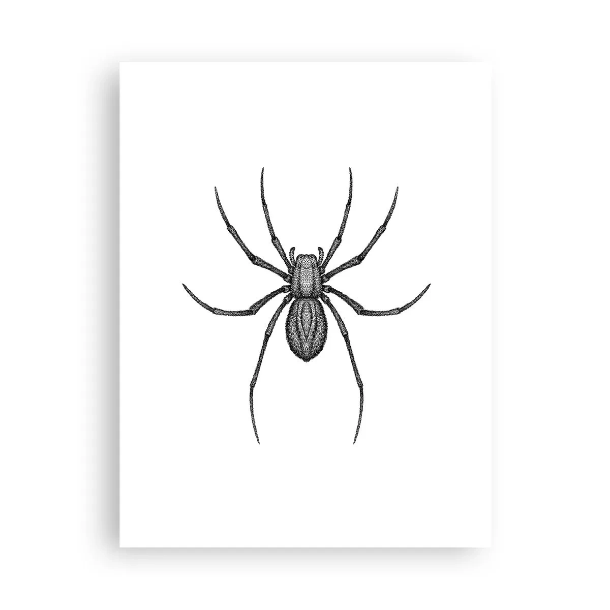 Poster - Precizie tulburătoare - 30x40 cm