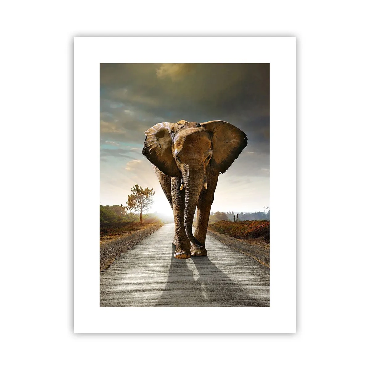 Poster - Și-a pierdut cipicii... - 30x40 cm