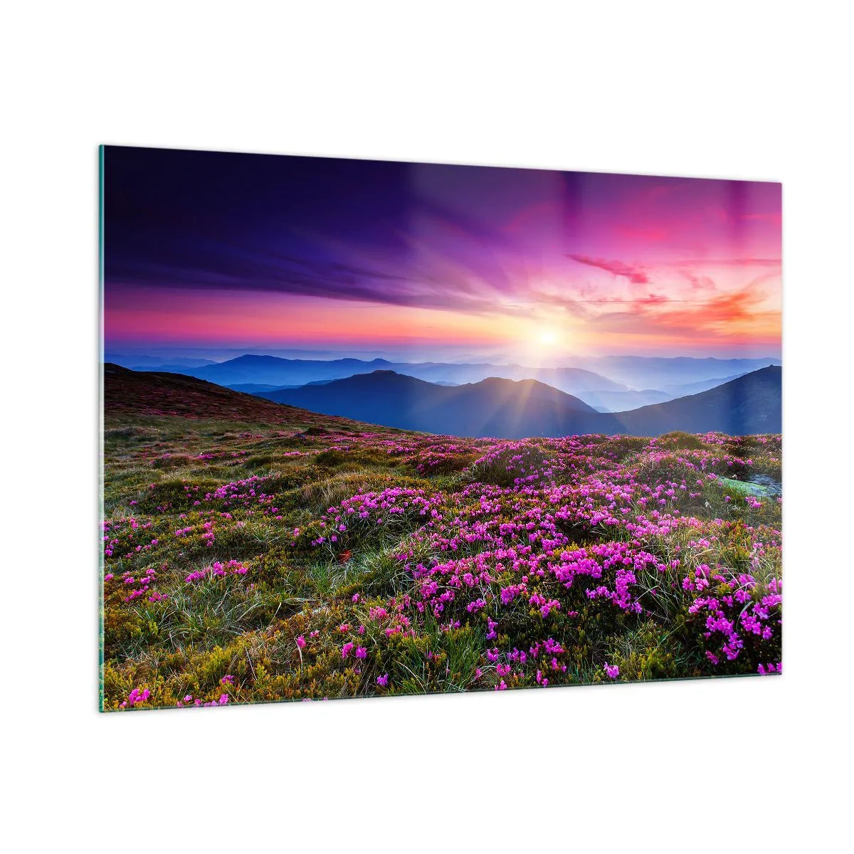 Tablou pe sticlă - Ierburile proaspete miroseau puternic - 100x70 cm