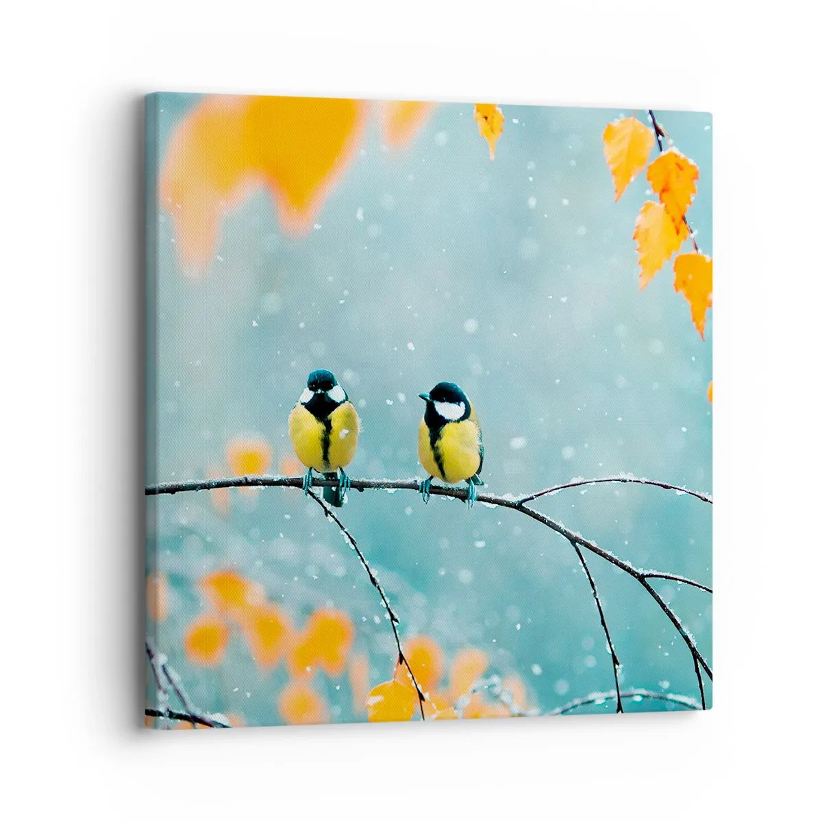 Tablou pe pânză - Bârfele păsărilor - 30x30 cm