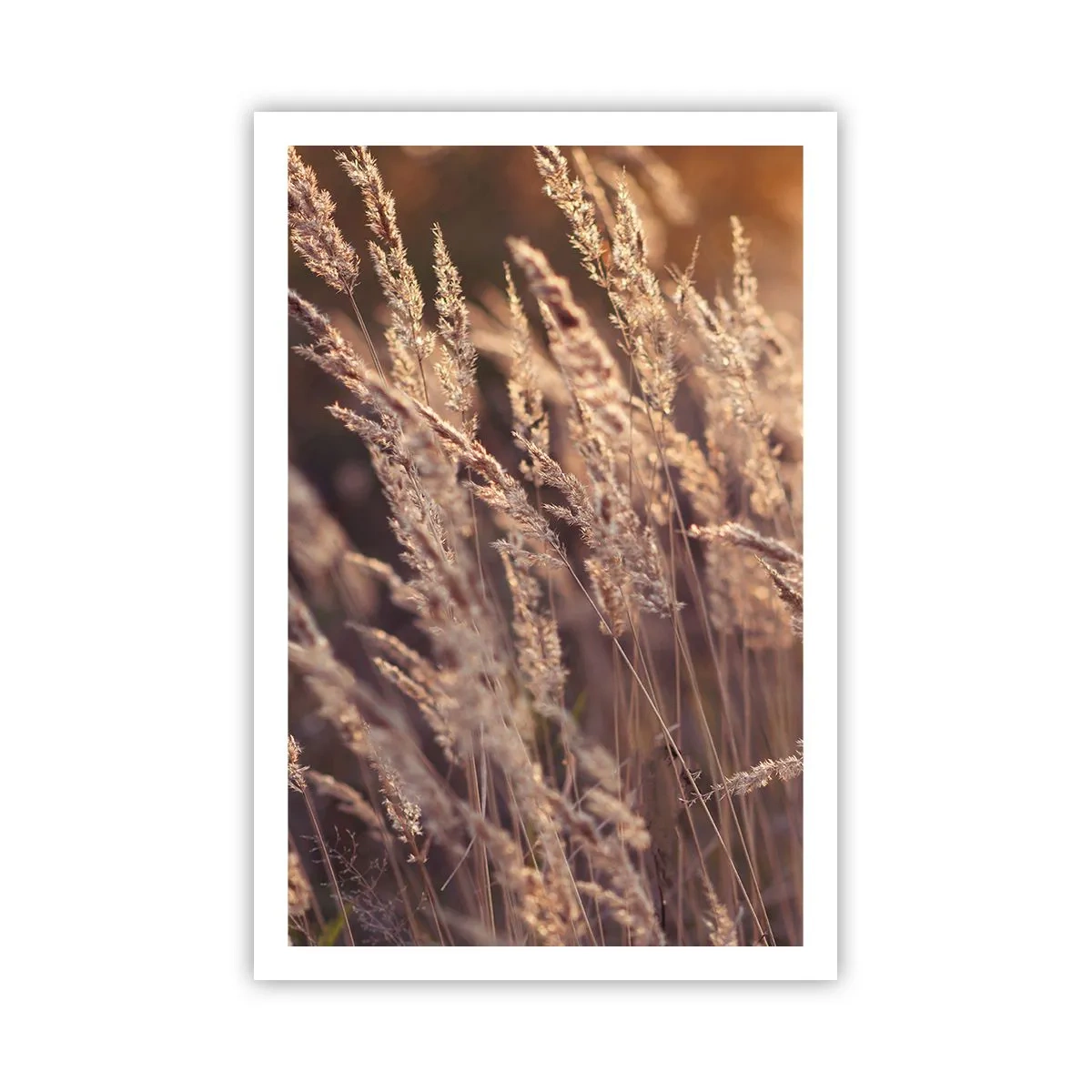 Poster - Gata să întâmpine toamna - 61x91 cm