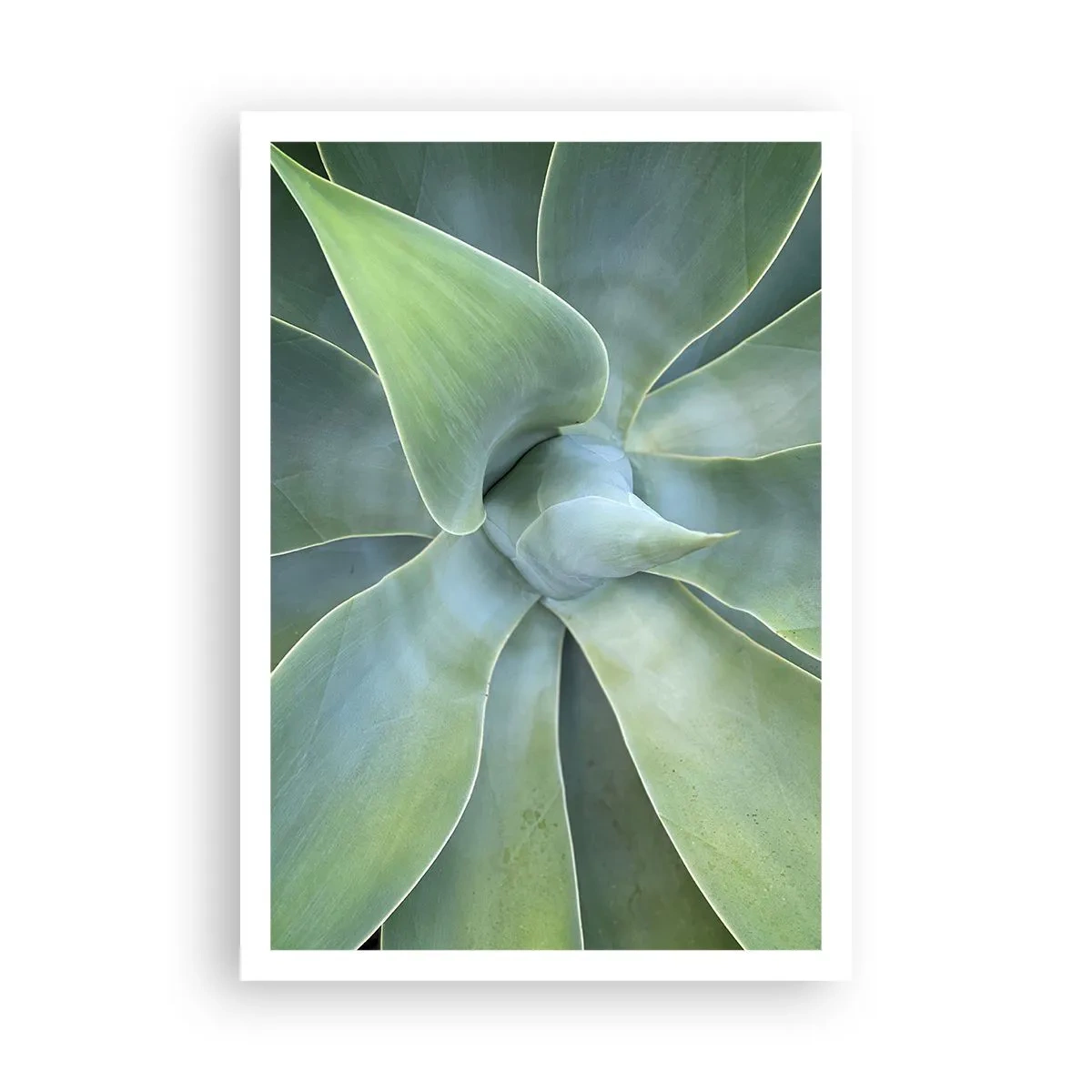 Poster - Nașterea verdeții - 70x100 cm