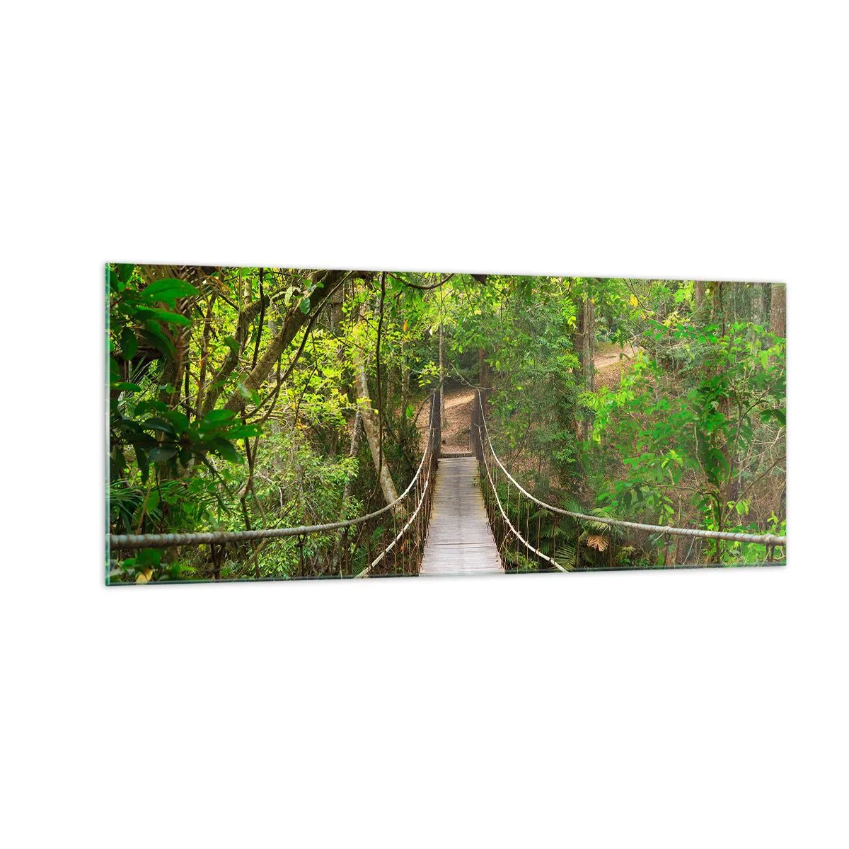 Tablou pe sticlă - Pentru că în grădină crește o liană - 100x40 cm