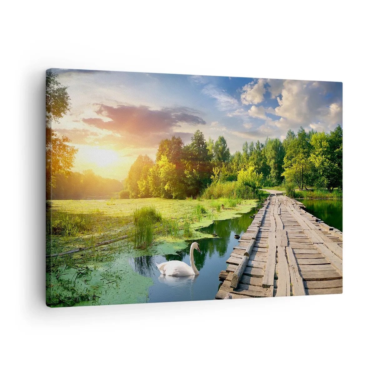 Tablou pe pânză Canvas - Un peisaj pitoresc cu un pod și o lebădă - 70x50cm - Vară, vară peste tot - Decorațiune modernă pentru perete pentru living și dormitor ARTTOR