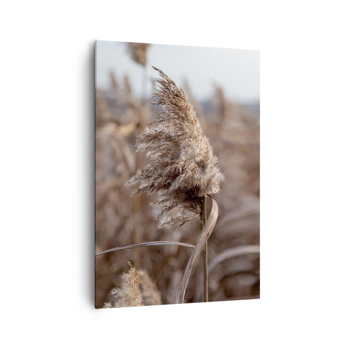 Tablou pe pânză - E timpul să zbori cu vântul - 70x100 cm