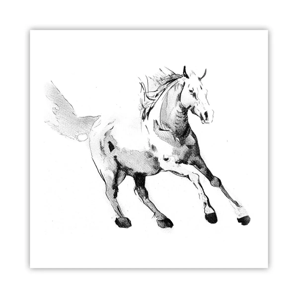 Poster - Suflet neîmblânzit - 60x60 cm