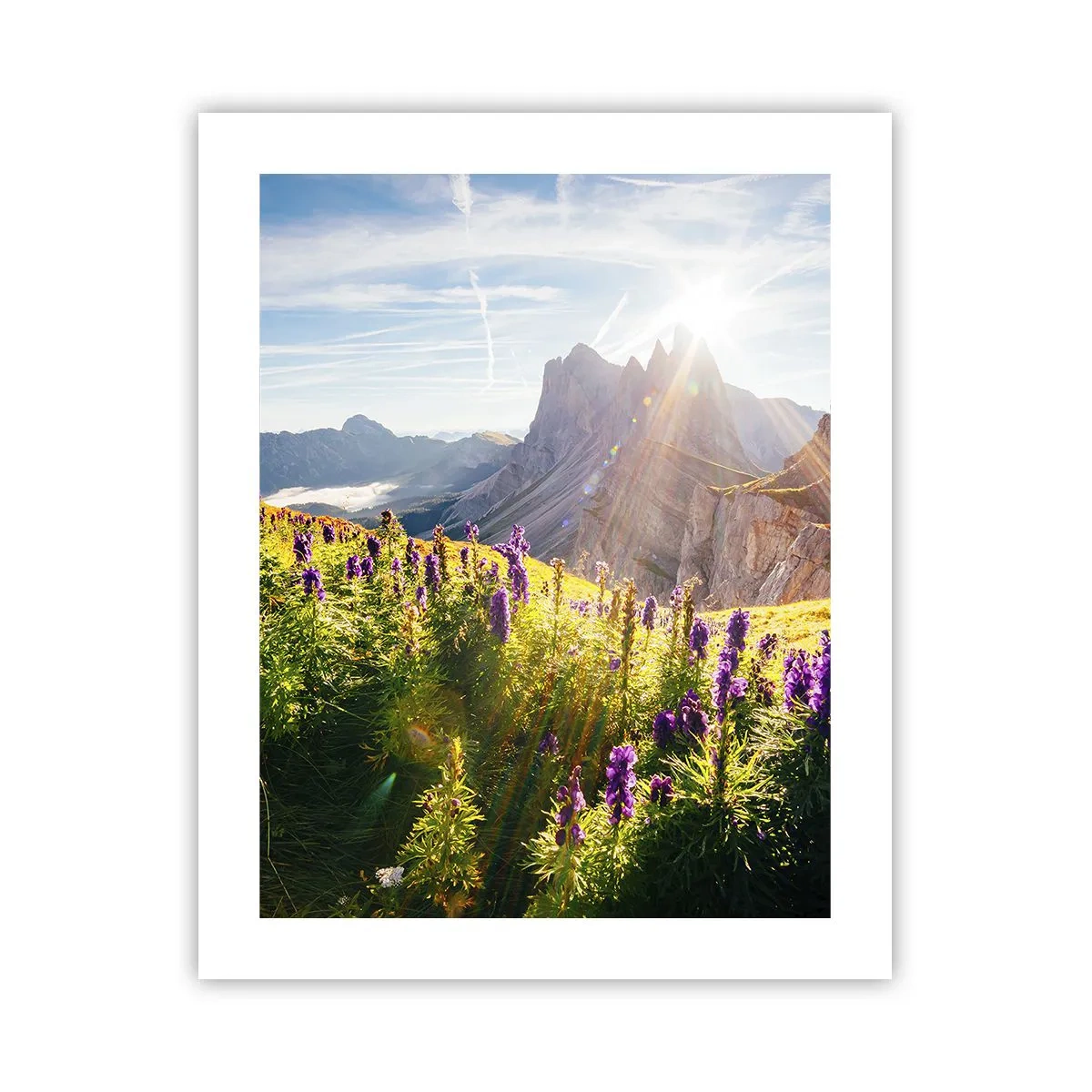 Poster - Viața secretă a ierburilor - 40x50 cm