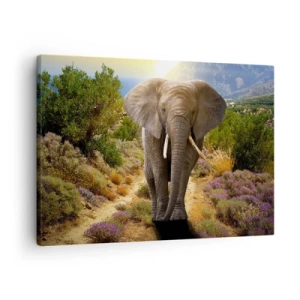 Tablou pe pânză Canvas - Un elefant african pe fundalul unui peisaj montan și de savană - 70x50cm - Iată cum arăta Edenul - Decorațiune modernă pentru perete pentru living și dormitor ARTTOR