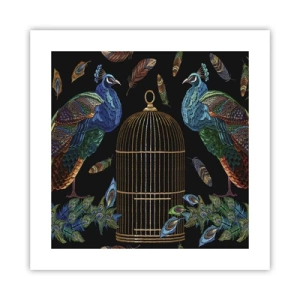 Poster - În veșmânt regal - 40x40 cm