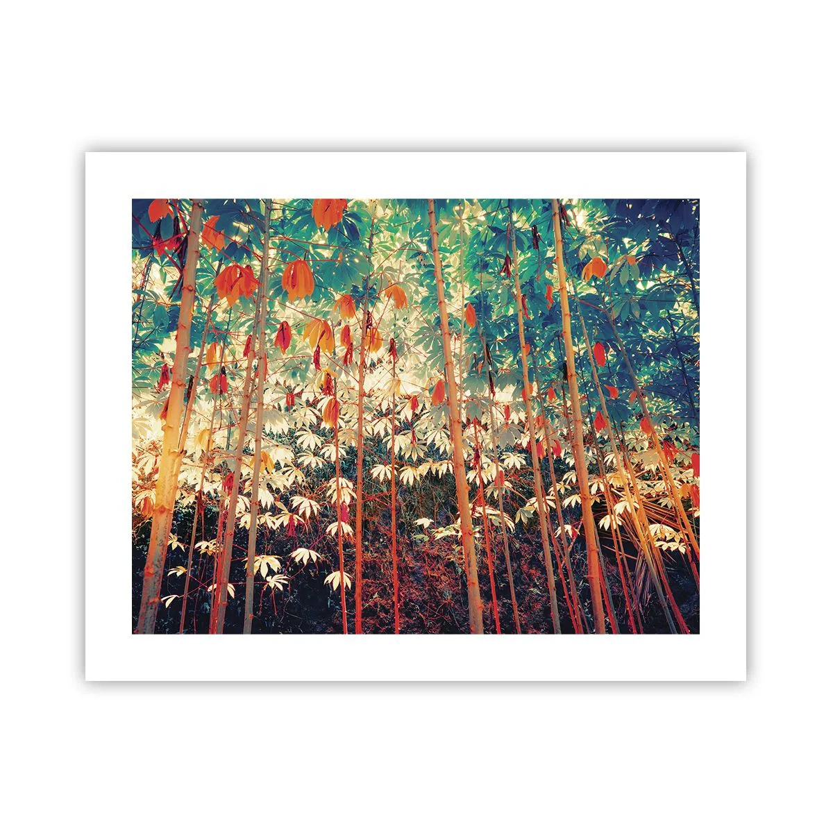 Poster - Viața secretă a frunzelor - 50x40 cm